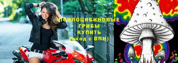 спиды Михайловка