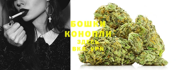 молекула духа Навашино