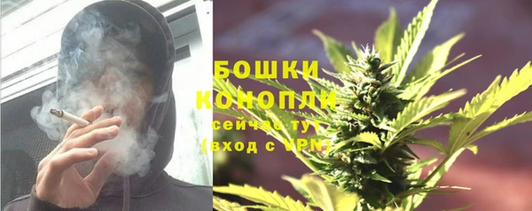 молекула духа Навашино