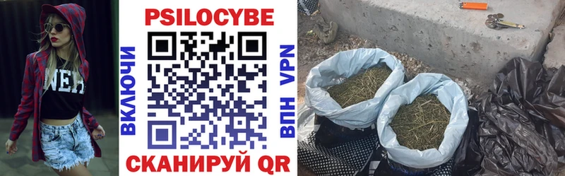 хочу   Майский  Псилоцибиновые грибы Magic Shrooms 