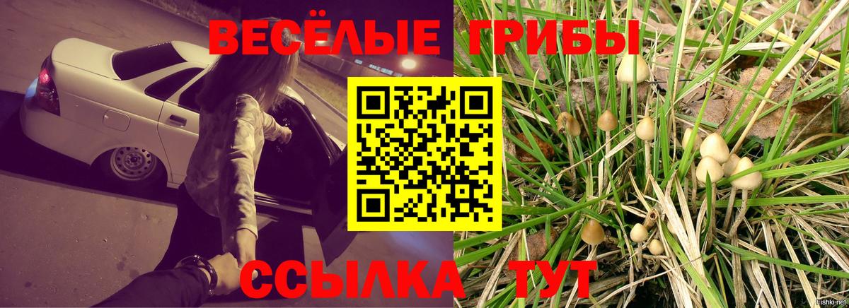 Псилоцибиновые грибы Magic Shrooms Майский