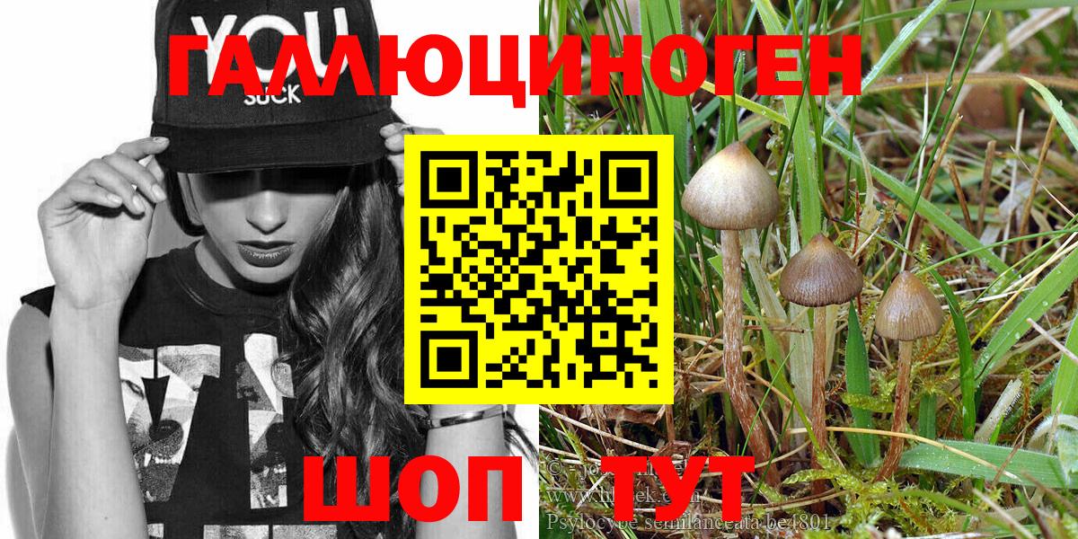 Галлюциногенные грибы мицелий  Майский 